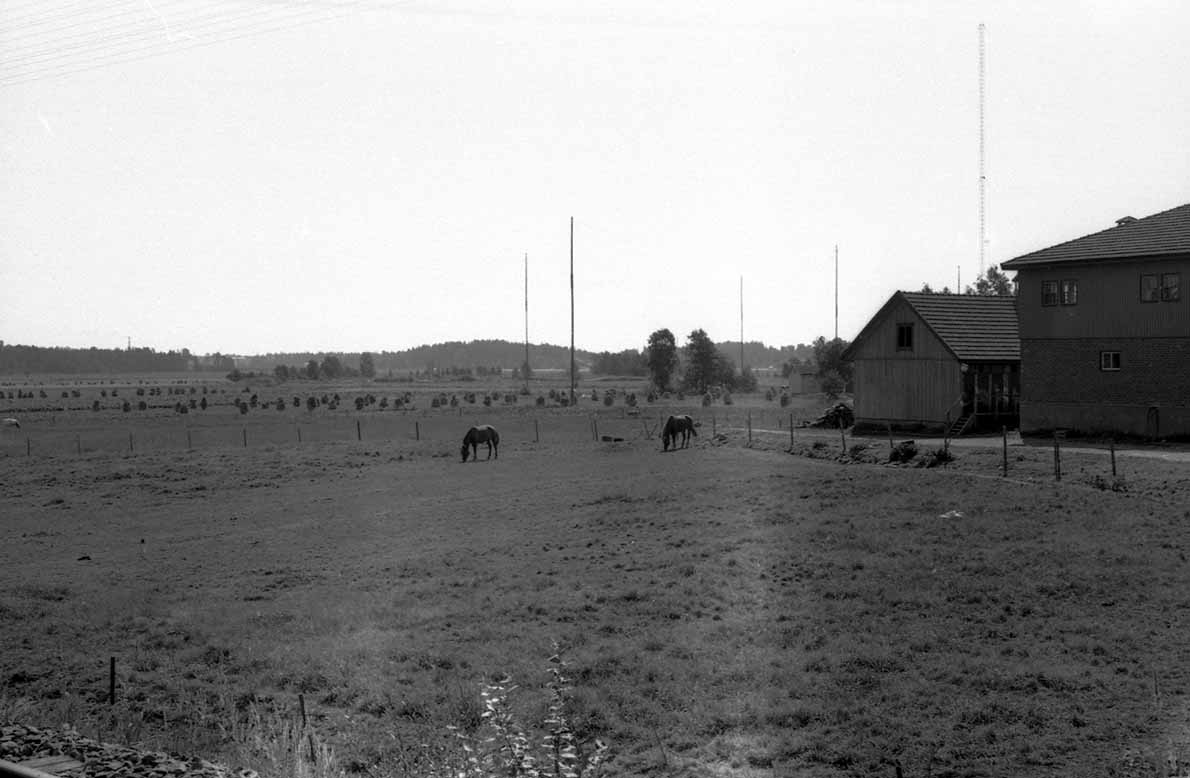 Valtion ammattikoulun peltoja