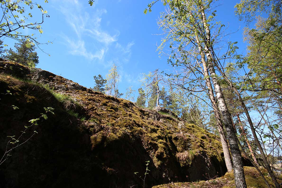 Mataskär