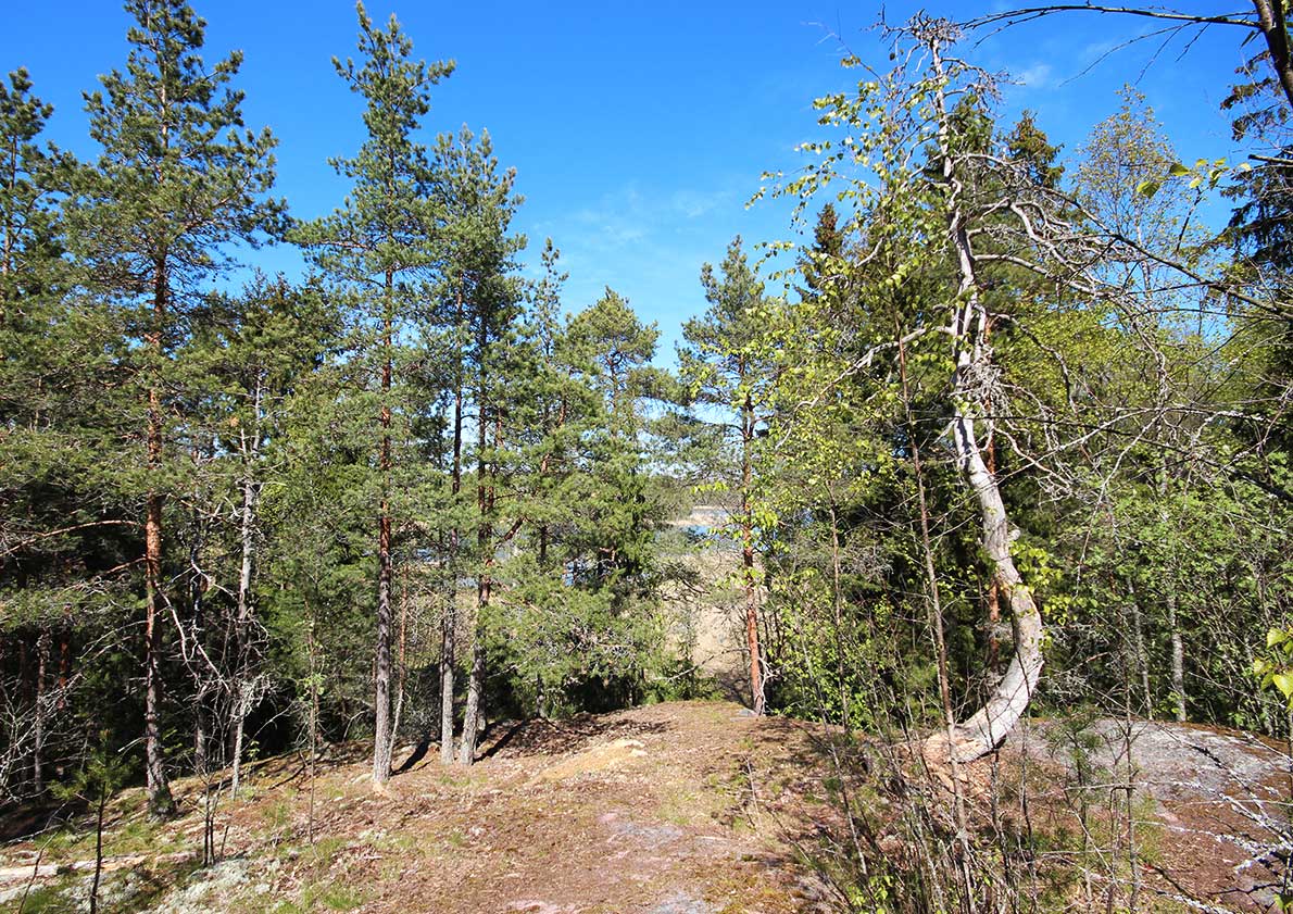 Mataskärin mäki nyt
