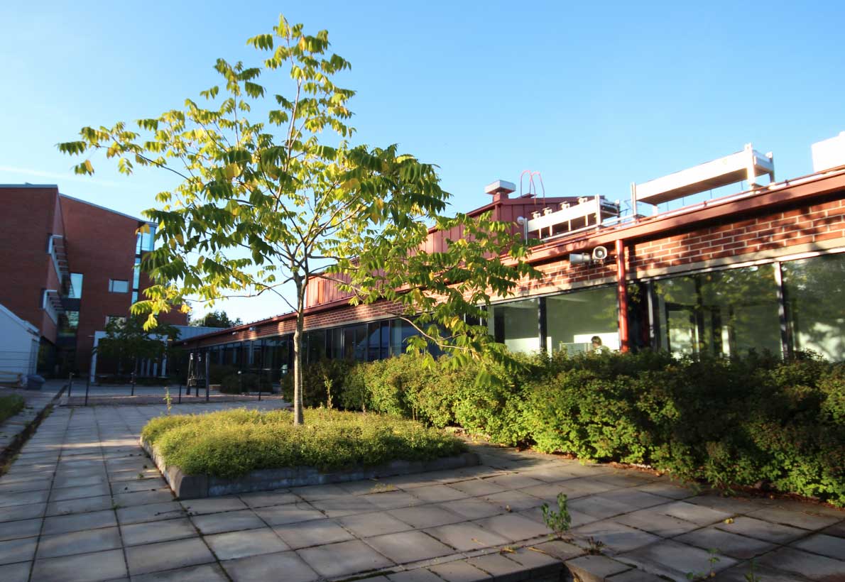 Kivimiehen koulu, Espoo