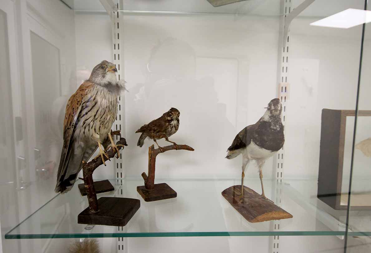 Laajalahden koulu, Espoo.