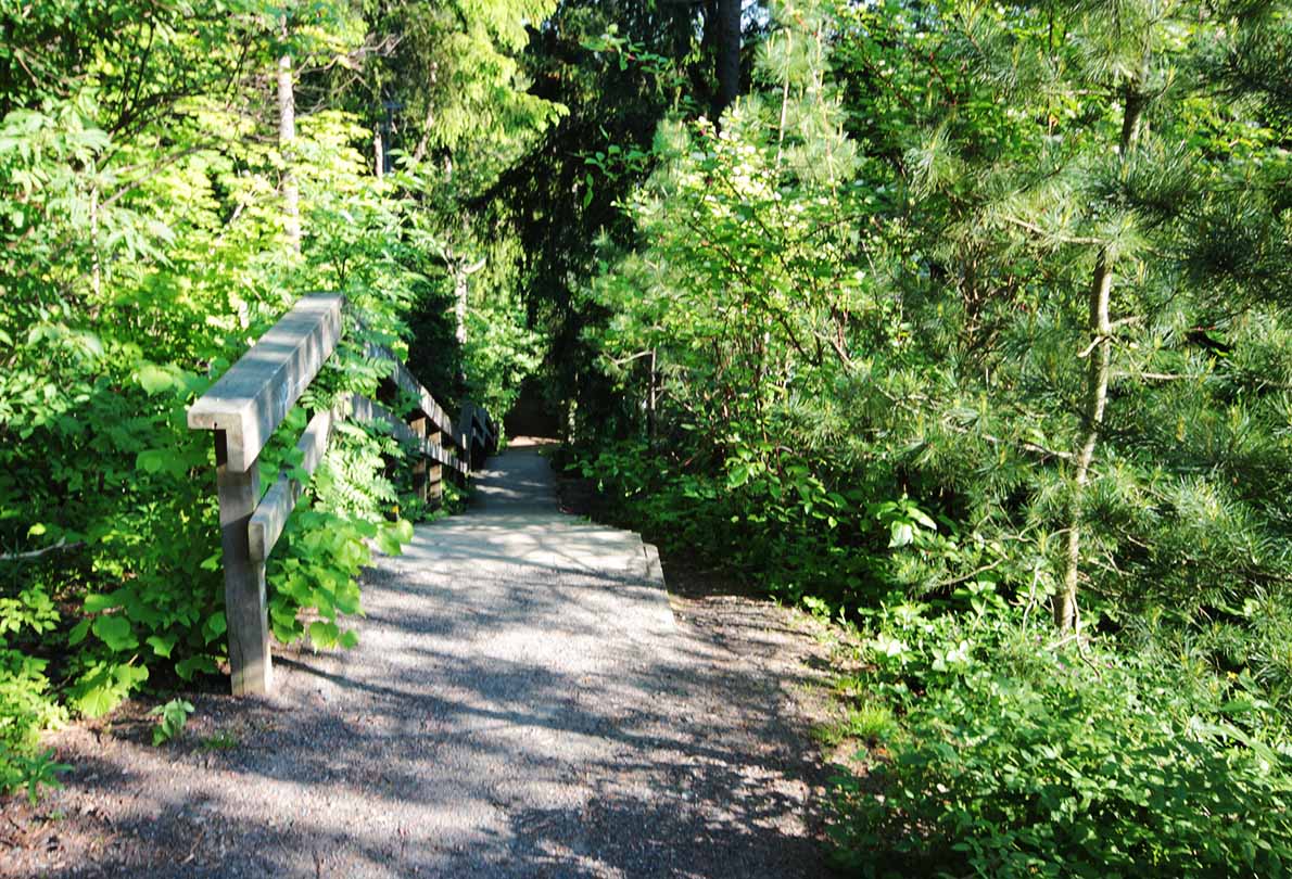 Pitkäjärventien varren portaat, Espoo.