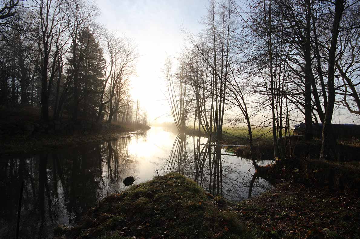 Espoojoen alajuoksulla