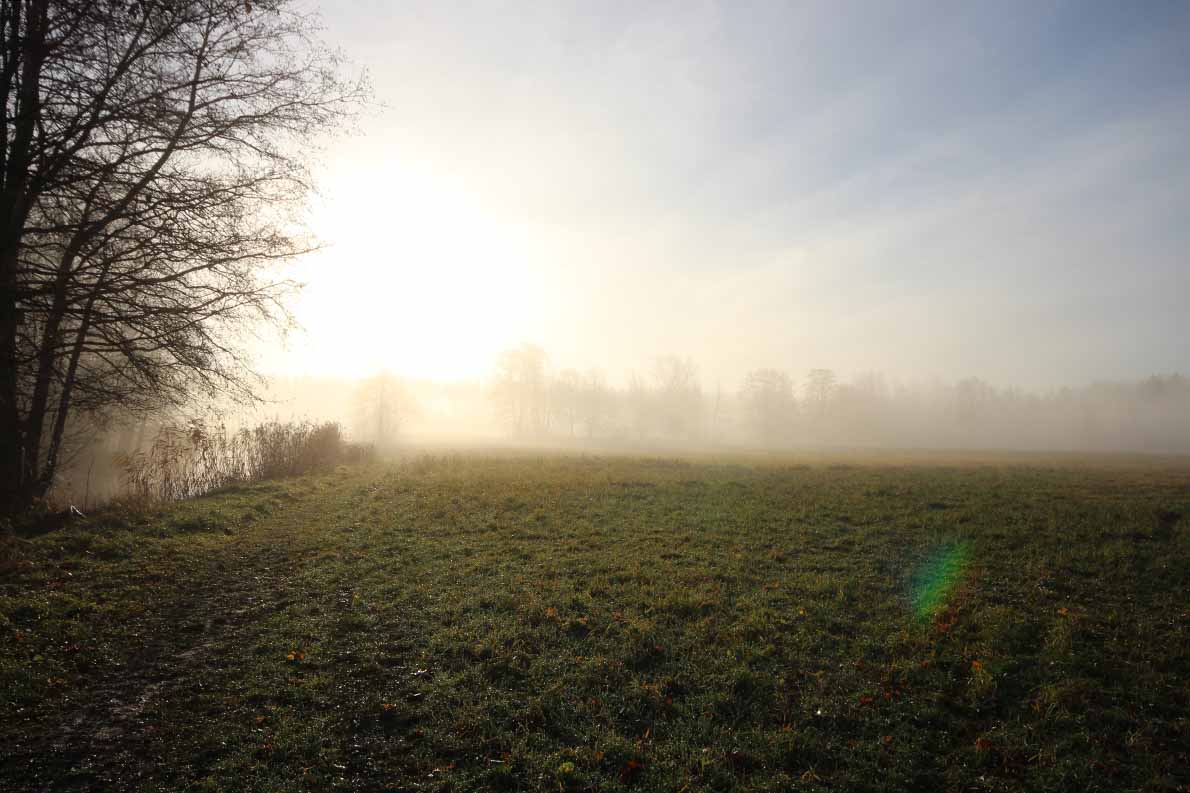 Espoojoen alajuoksulla