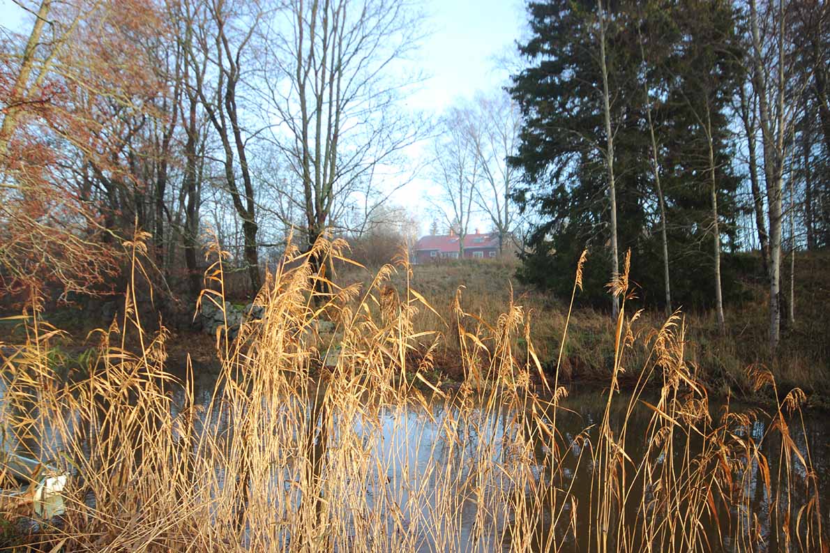 Espoojoen alajuoksulla