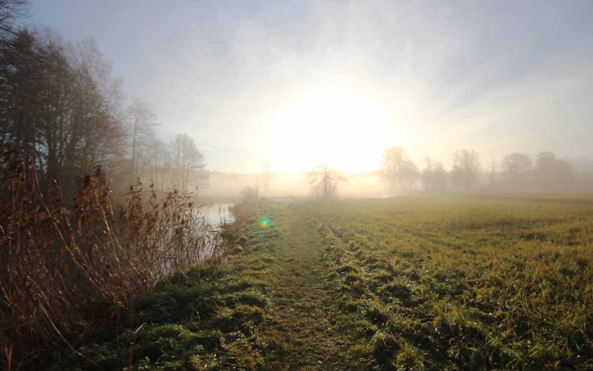 Espoojoen alajuoksulla