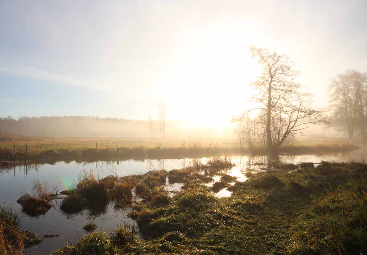 Espoojoen alajuoksulla