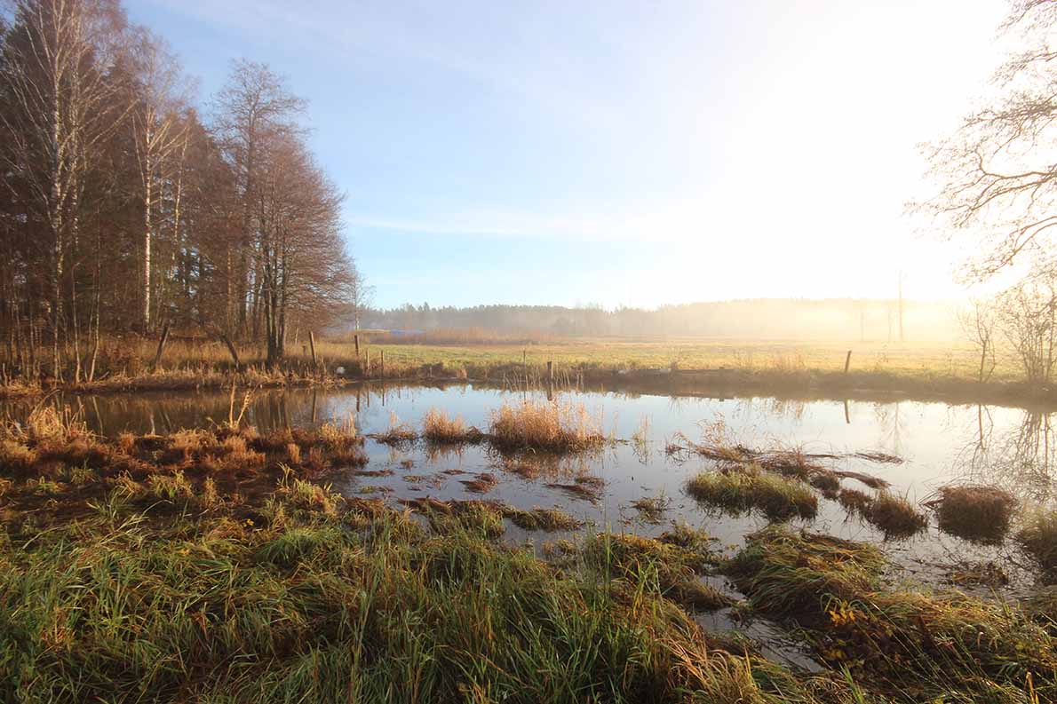 Espoojoen alajuoksulla