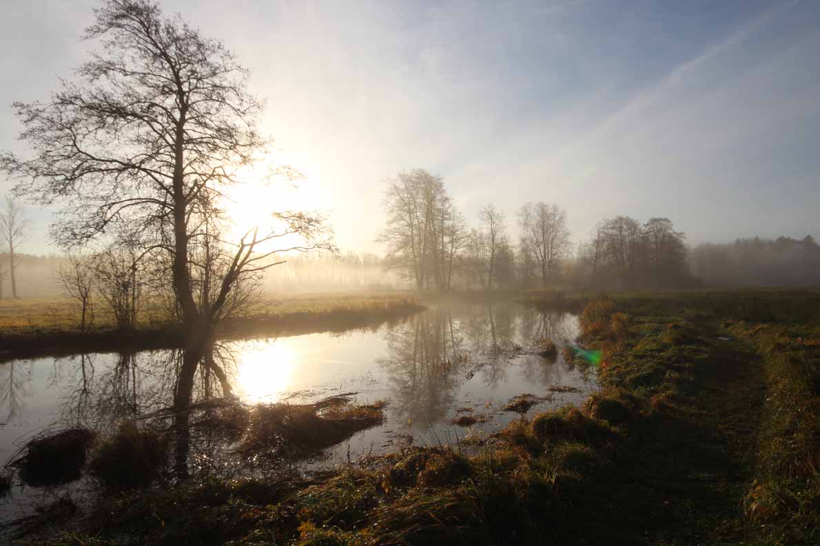 Espoojoen alajuoksulla