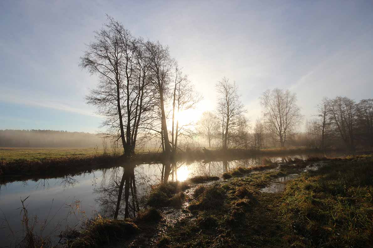 Espoojoen alajuoksulla