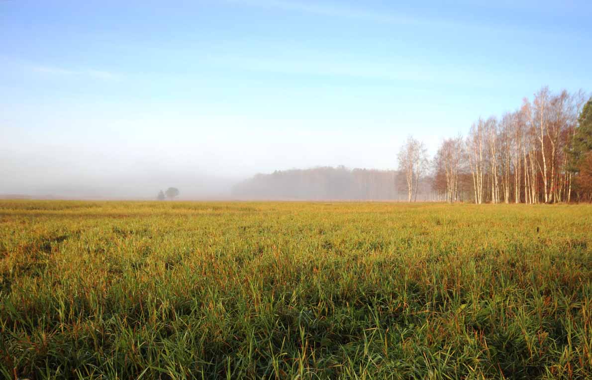 Espoojoen alajuoksulla