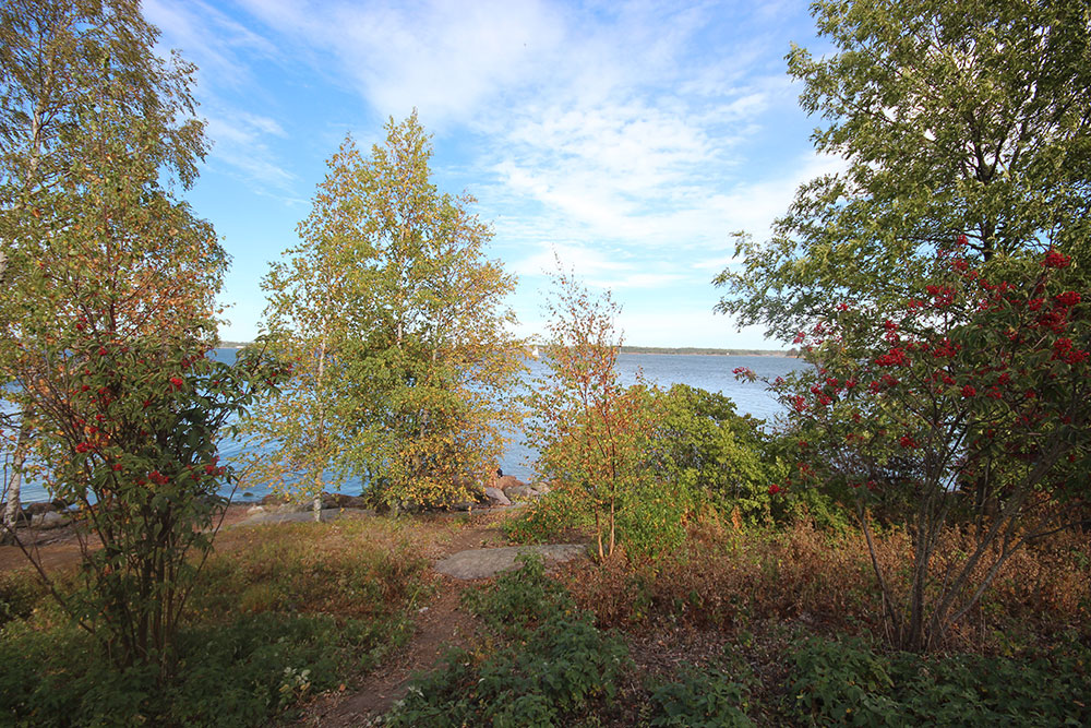 Lonnan saari. Helsinki