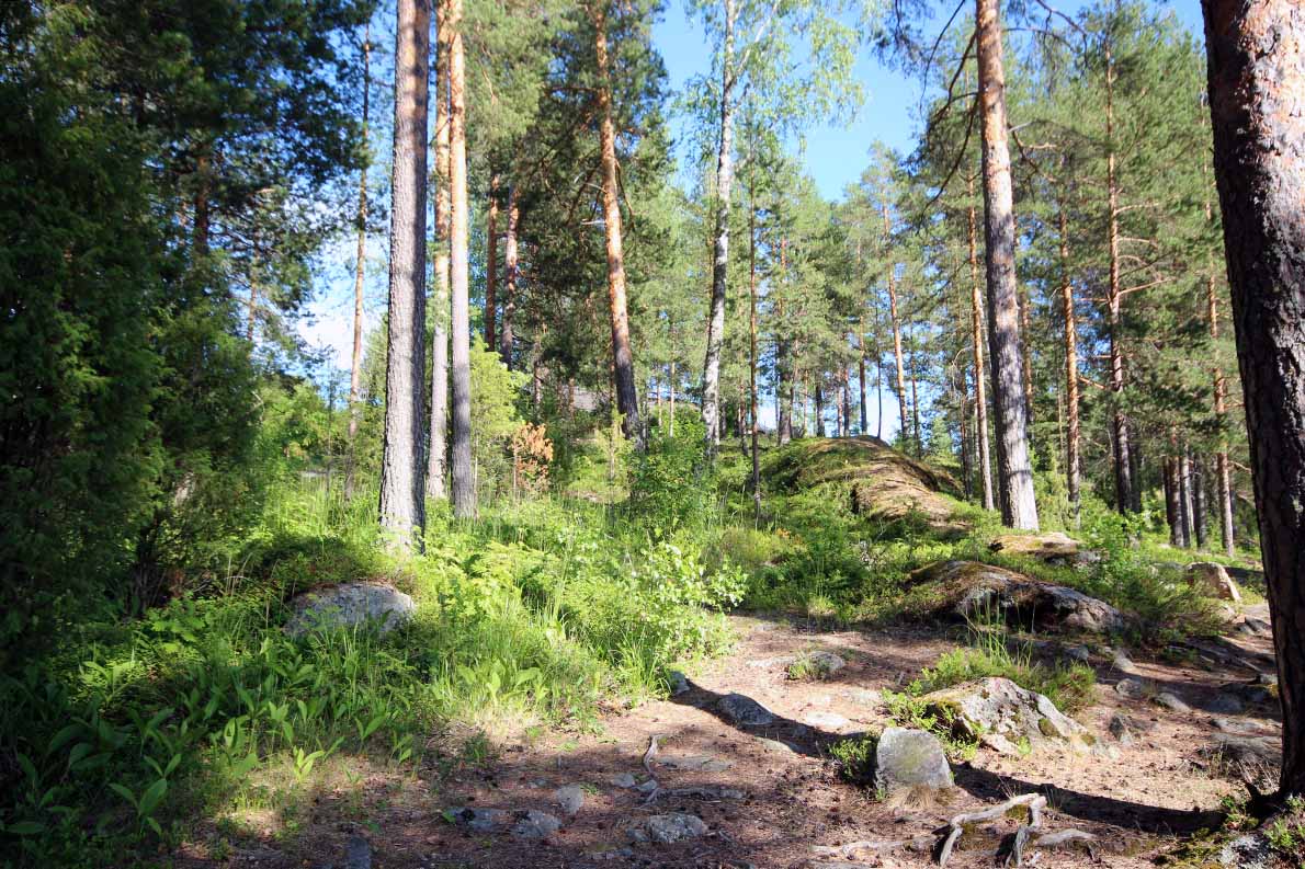 Karkulahden uimaranta, Savonlinna.