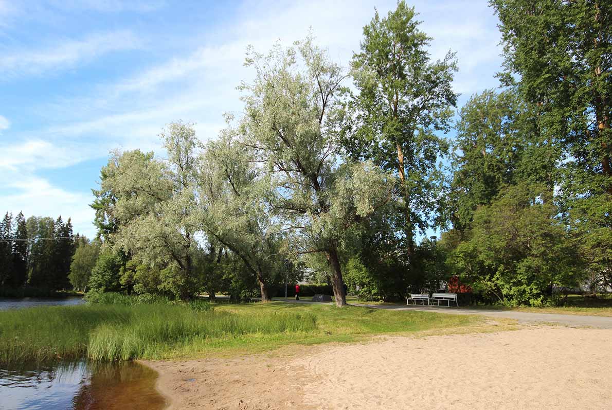 Törnävän uimaranta, Seinäjoki.