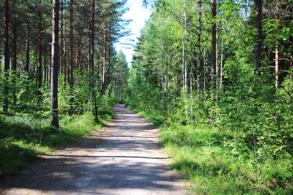 Hämeen luontokeskuksen uimaranta, Tammela.