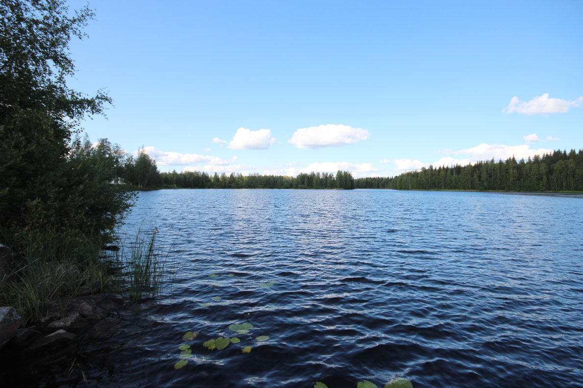 Killinkosken uimaranta, Virrat